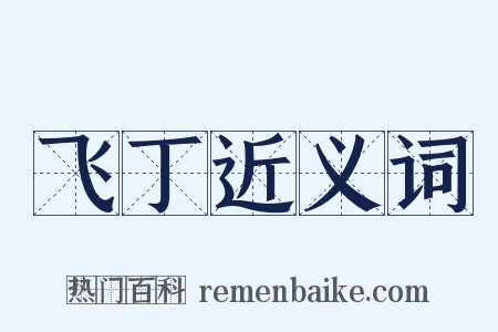 飞丁近义词是什么意思的图片